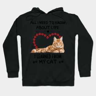 All I Need To Know About Life I Learned From My Cat Hoodie